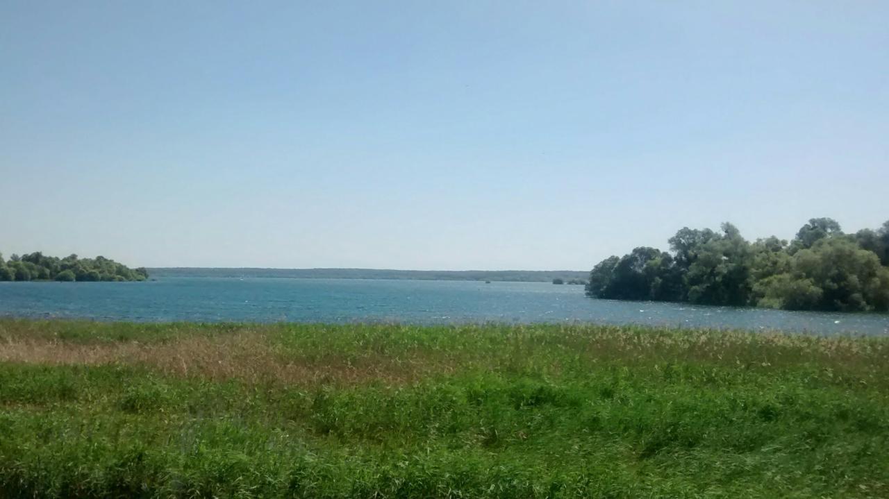 Forêt d'Orient (15)
