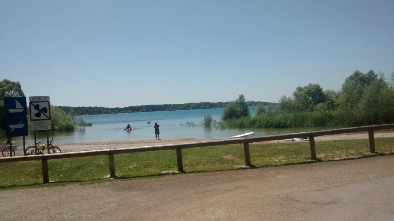 Forêt d'Orient (9)