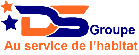 DS grouop